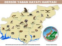 Dersim Yaban Hayatı Haritası Çıktı