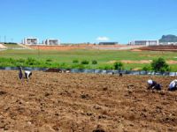 Bostan çalışmaları devam ediyor