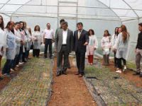 Dersim’de tohumlar kadın eliyle canlanıyor
