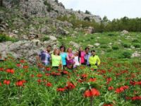 İstanbul'dan Dersim'e Ters Lale yolculuğu