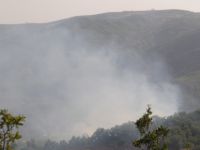 Tunceli'de Orman Yangınları devam ediyor