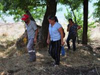Eşbaşkan Altun, Çalışma Alanlarını İnceledi