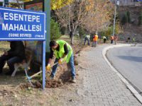 Parklarda Bakım Çalışmaları
