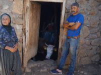 Dersim’de şarbon hastalığı tehlikesi