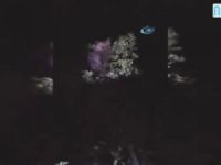 Ağacın tepesinde meyve keyfi