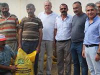 Çiftçilere Ayyıldız buğday tohumu dağıtıldı