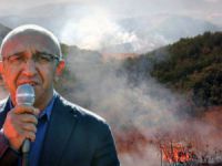 Dersim Milletvekili Önlü, orman yangınları için Meclis araştırması istedi