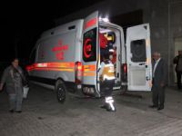 Ayının saldırdığı avcı ağır yaralandı