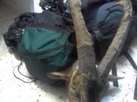 Çemişgezek'te kaçak avcılara ceza