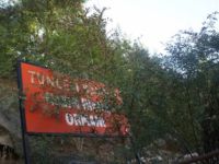 Hatıra Ormanlarında temizlik çalışması