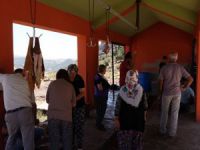 Düzgün Baba'ya ziyaretçi akını