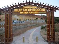 Hatıra Ormanı yenilendi