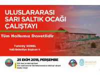 "Uluslararası Sarı Saltık Ocağı Çalıştayı" düzenlenecek