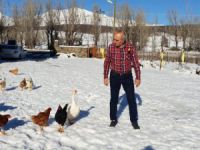 Sabah kazla koşuya çıkıyor, akşam tilki ailesini besliyor