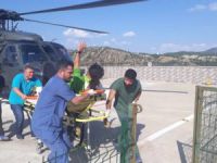 Profesyonel dağcı grubuna ayı saldırdı