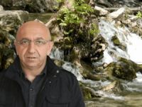 Milletvekili Önlü, turizme açılacağı söylenen Halvori Gözeleri’ni meclis’e taşıdı
