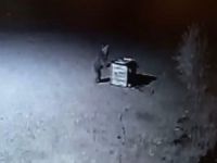 Ayılar çöpleri karıştırırken görüntülendi