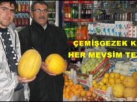 Çemişgezek Kavunu Her Mevsim Tezgahta