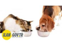 Kedi ve köpek maması alınacaktır