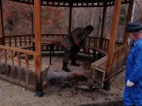 Oyun parkları ve piknik alanlarında çevre temizliği