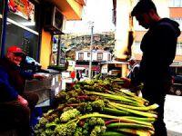 Şifa deposu ‘ışkın’ tezgahlardaki yerini aldı