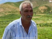Pülümür'de yaylacılık ve yaşanan sorunlar