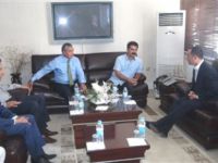 CHP'li Aygün: PKK da Barış istiyor