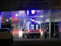 Bingöl'de yine ayı saldırısı: Yaralanan çoban hastaneye kaldırıldı