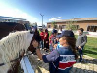 Down Sendromlu çocukların at sevgisi