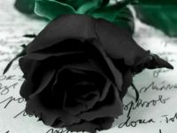 VEFAT ve BAŞSAĞLIĞI