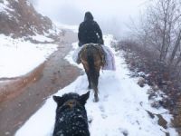 Depremzedelere katır sırtında yardım taşıyorlar