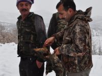 Av ve Yaban Hayatını Koruma Ekipleri, Tunceli’de kaçak avcılara göz açtırmıyor