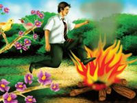 2012 YILI NEVRUZ BAYRAMI KUTLAMA PROGRAMI