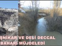 Kişnikar ve Deli Deccal Baharı Müjdeledi