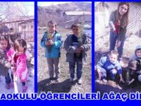 Çemişgezek Anaokulu Öğrencileri Ağaç Dikti