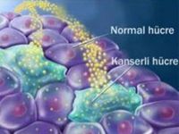 Tunceli Sağlık Müdürlüğünden Kanser Uyarısı