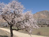 Tunceli'de İki Mevsim