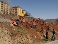 Tunceli Belediyesinden Ağaçlandırma Çalışması