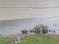 Tunceli'de Baraj Gölünde Çevre Felaketi Sinyali