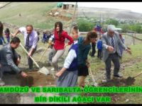 Payamdüzü ve Sarıbalta Öğrencilerinin de Dikili Bir Ağacı Var
