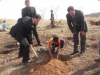 Çemişgezek Kaymakamlığından Ağaçlandırma Seferberliği