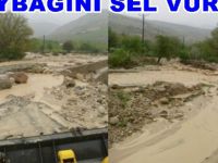 Çaybağını Sel Vurdu!