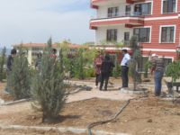 Pertek’te Park ve Ağaçlandırma Çalışmaları Devam Ediyor