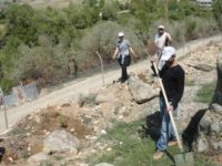 Hozat’ta Ağaçlandırma çalışmaları devam ediyor