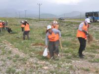 Ovacık'ta Ağaçlandırma Çalışmaları