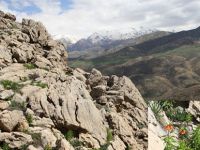 DERSİMDE YENİ VE ÖNEMLİ KAYITLAR!