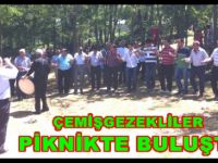 İstanbul’daki çemişgezekliler piknikte buluştu