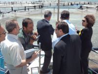 Çemişgezek Alabalık tesisleri ekonomik katkı sağlıyor