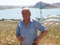 Dağ sarımsağı ilçede yetiştiriliyor