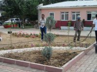 Valilik Bahçesinde Peyzaj Çalışmaları Tamamlandı
